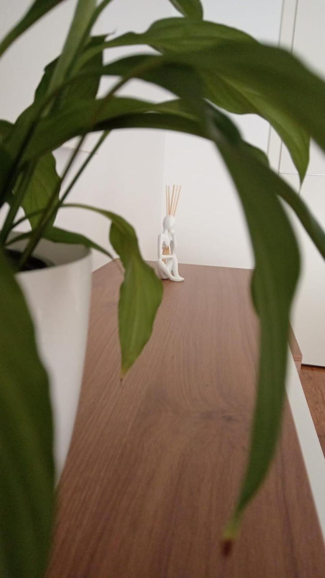 La Maia Acasa - Loftul Urban Apartment Sibiu